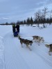 image for Objectif Polarkreis : des adolescents en difficulté relèvent le défi en Laponie avec des chiens de traîneau
