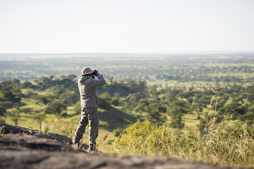 Singita Conservation Foundation