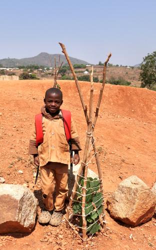 Planting Hope